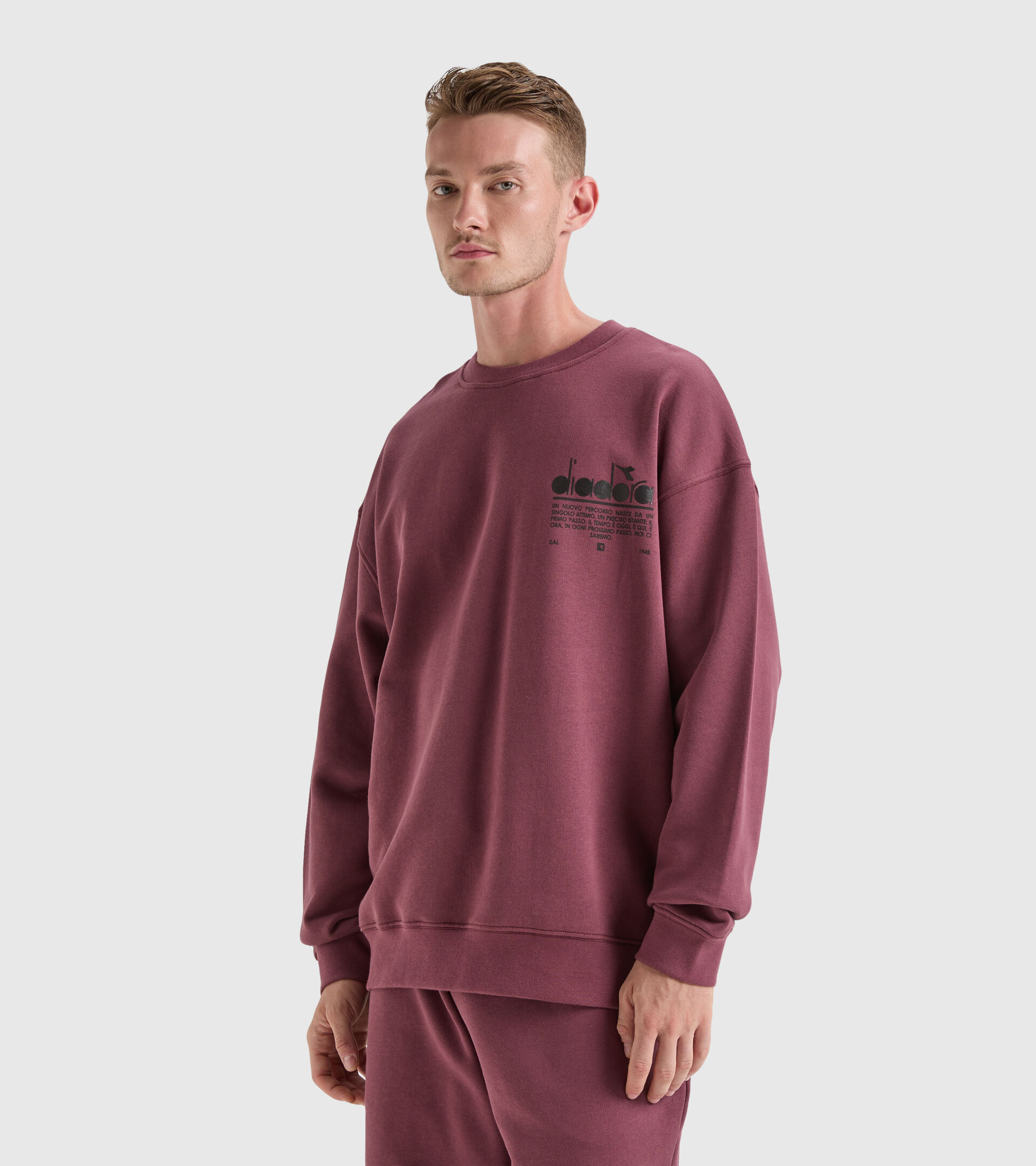 Sweatshirt aus Baumwolle - Unisex SWEATSHIRT CREW MANIFESTO VERNICHTET VIOLETT - Diadora