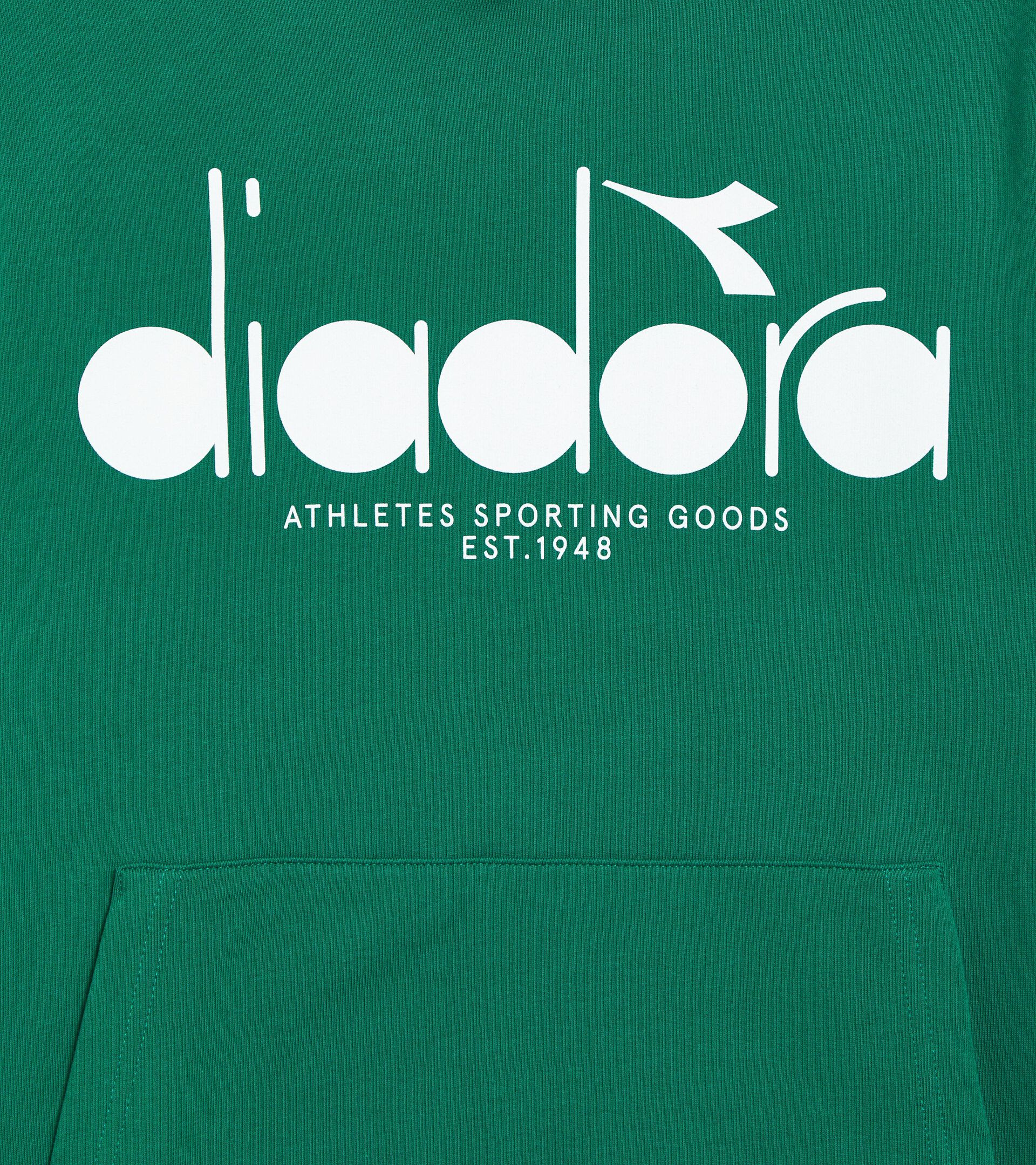 Color block hoodie - All-Gender HOODIE LOGO AVENTURINE - Diadora