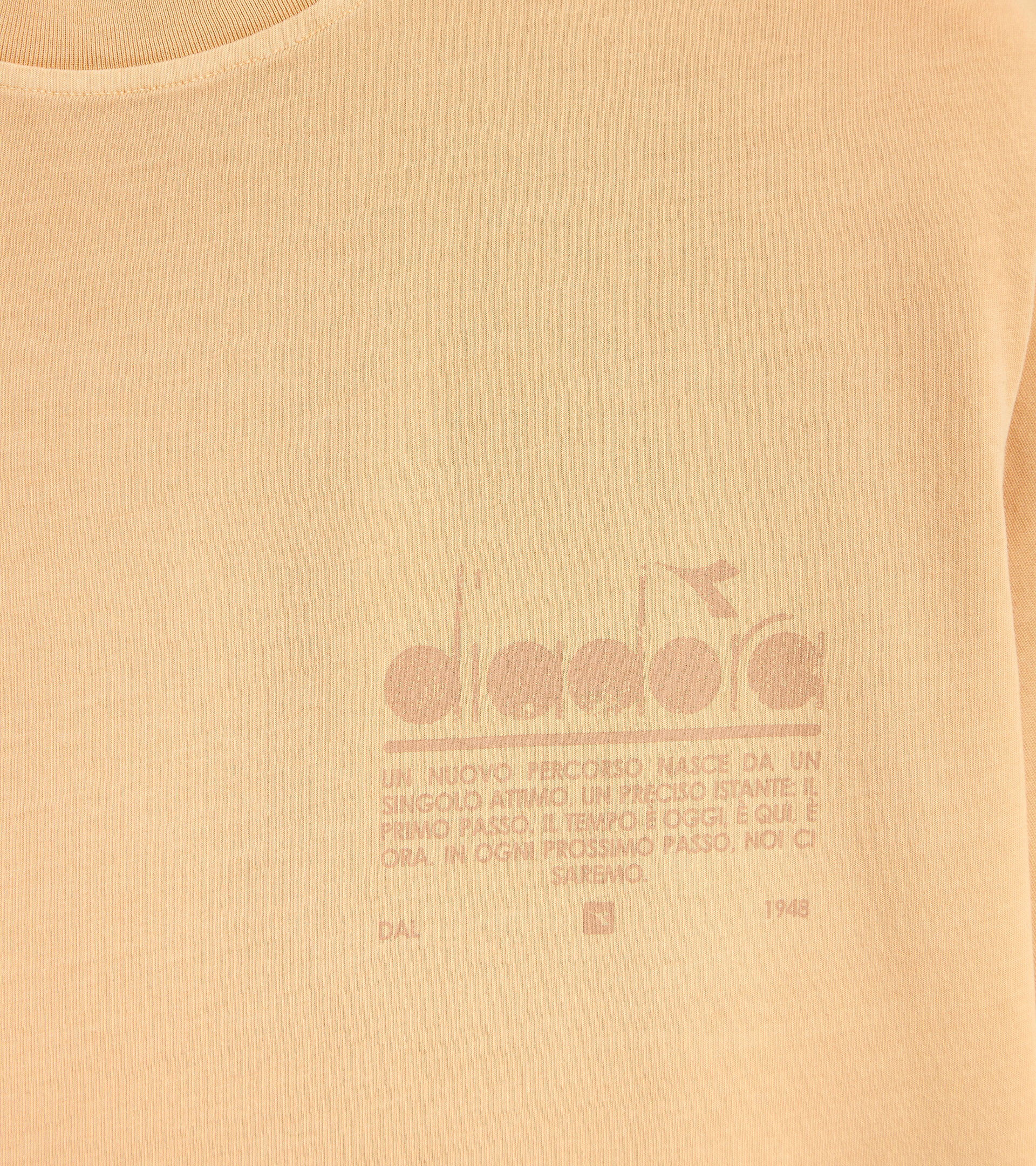 T-shirt in cotone organico - Unisex T-SHIRT SS MANIFESTO PALETTE BEIGE FOSCHIA DESERTO - Diadora