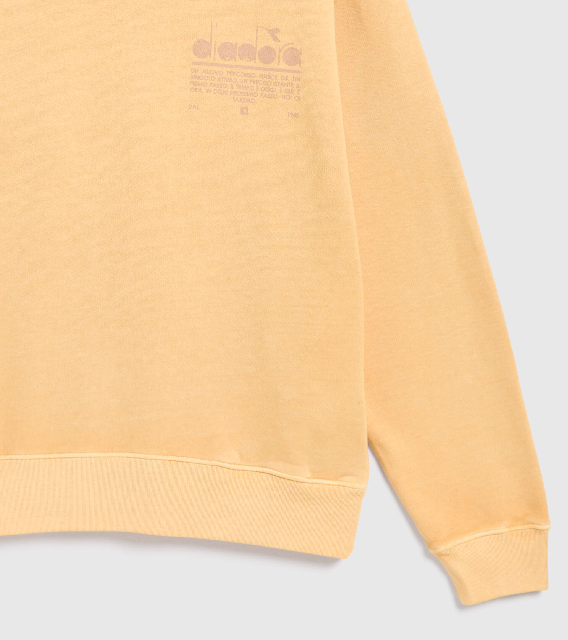 Unbrushed organic sweatshirt - Unisex HOODIE MANIFESTO PALETTE DESERT MIST - Diadora