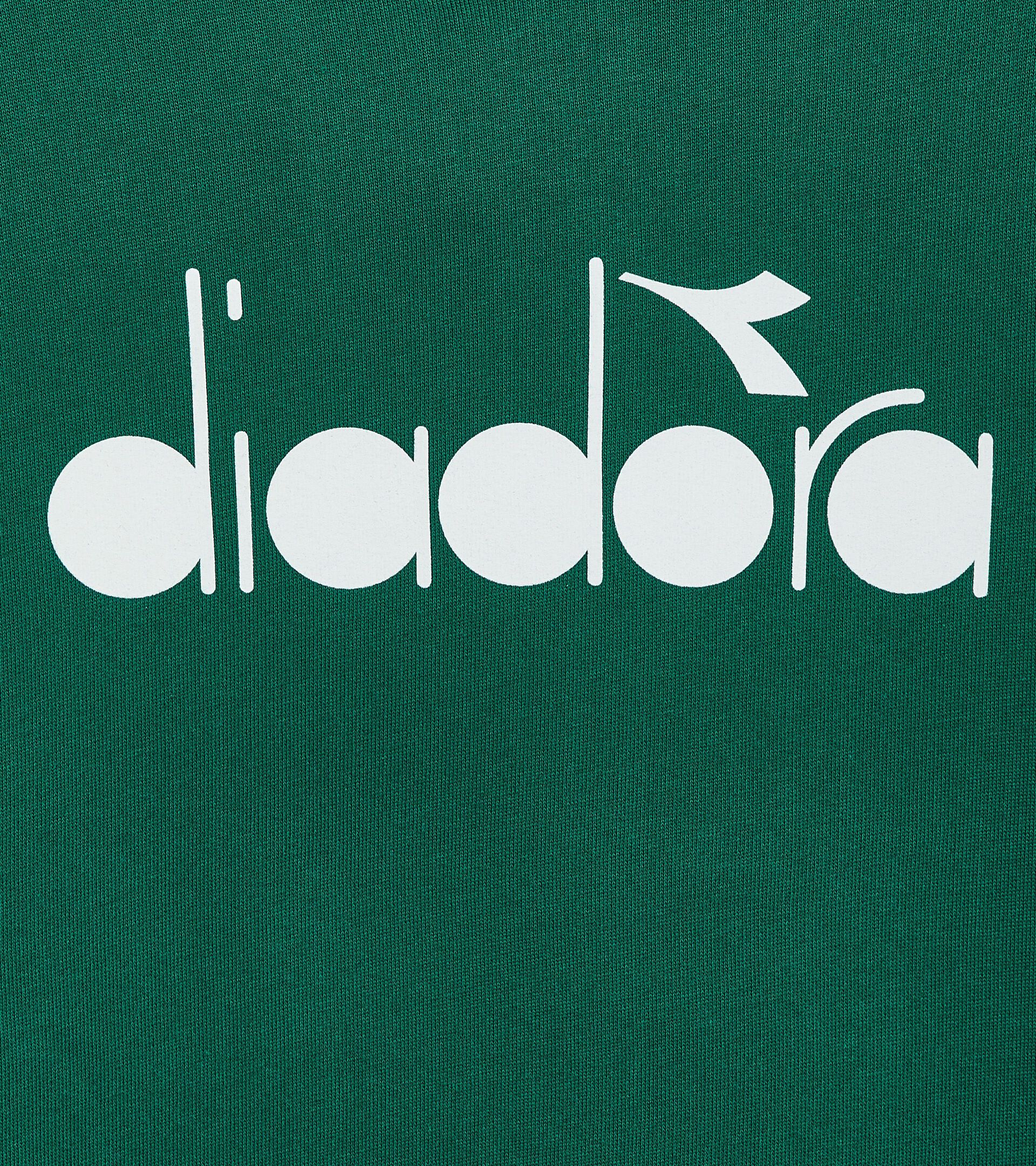 Sweat-shirt de sport à capuche - Made in Italy - Gender Neutral HOODIE LOGO VERT AVENTURINE - Diadora