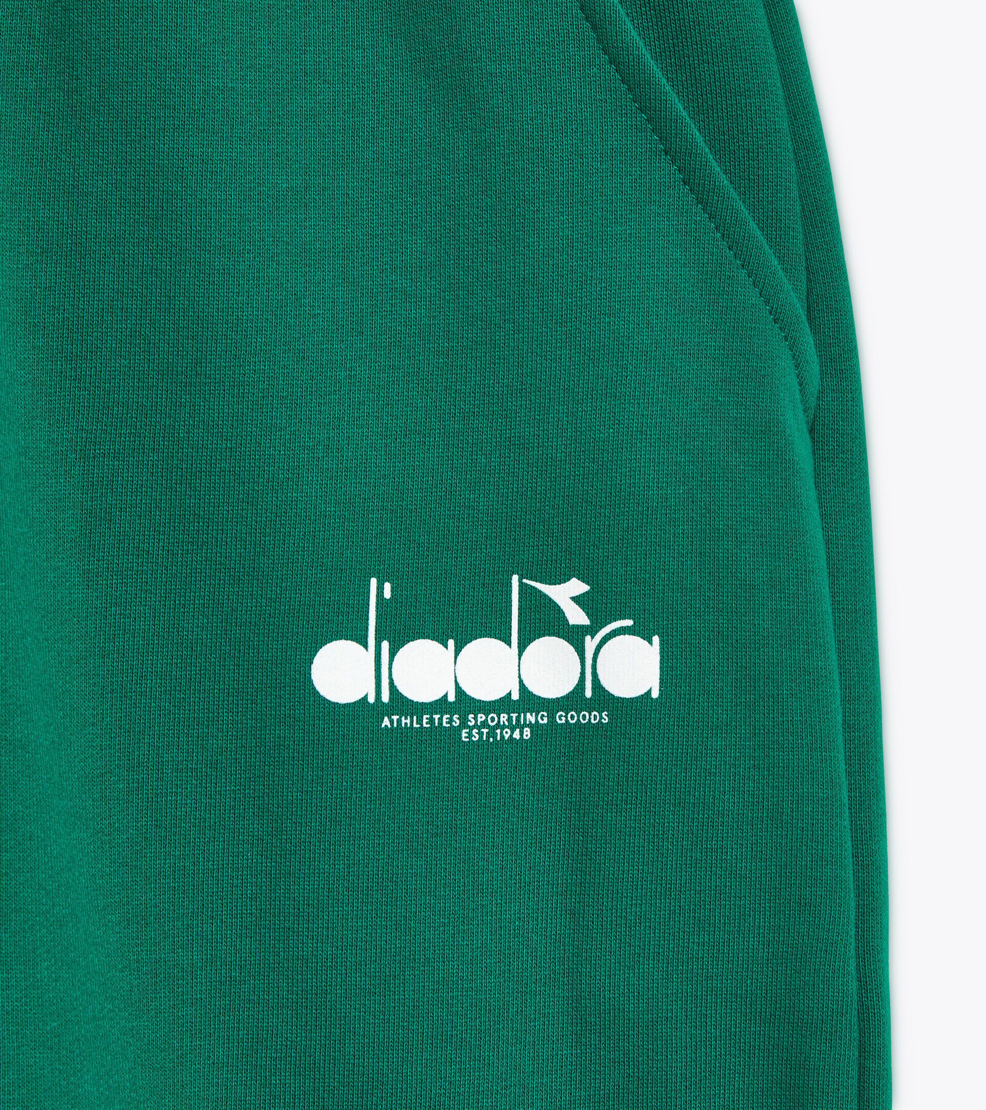 Sweatpants - All-Gender PANTS LOGO AVENTURINE - Diadora