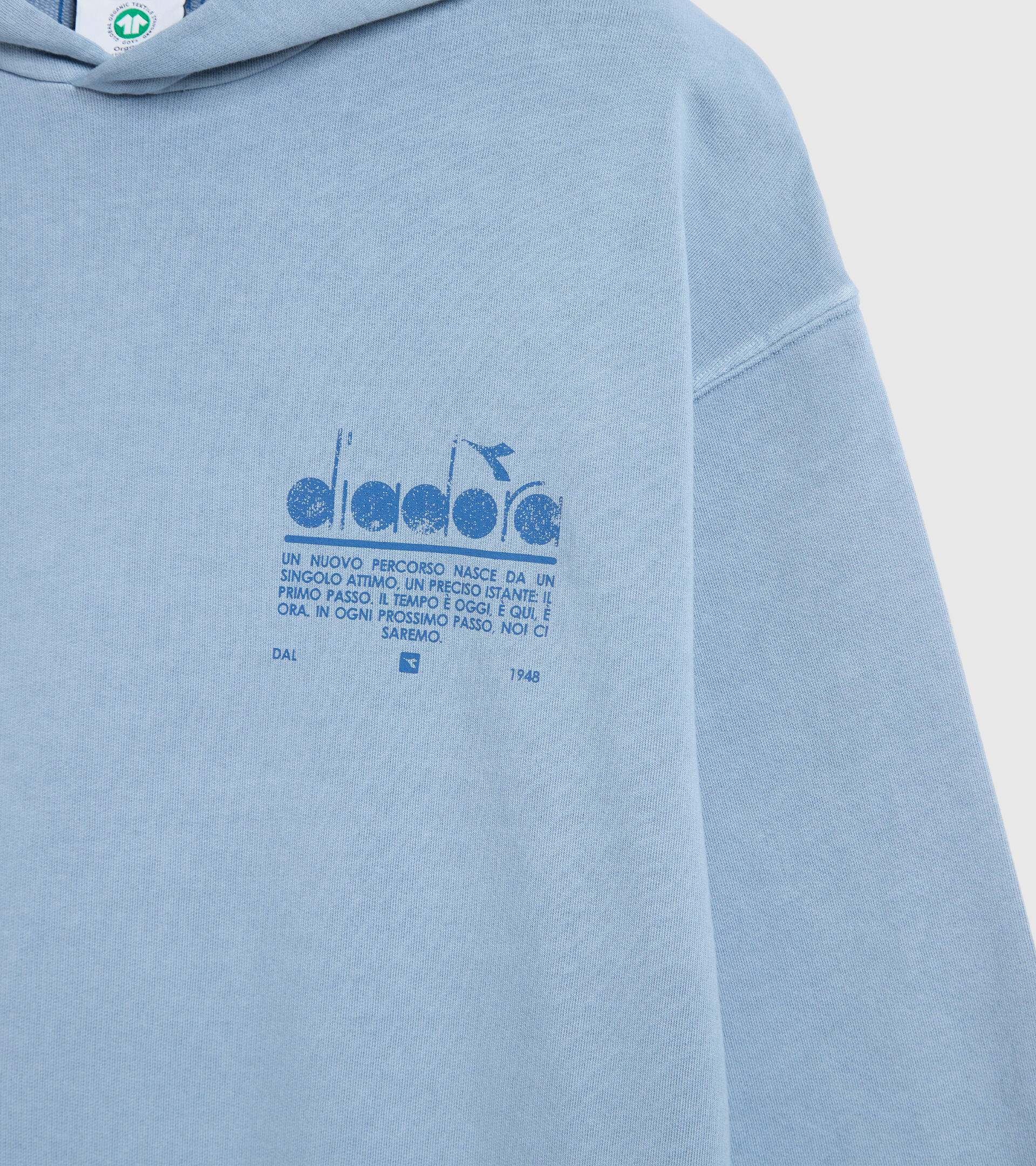 Unbrushed organic sweatshirt - Unisex HOODIE MANIFESTO PALETTE SKY-BLUE COUNTRY - Diadora