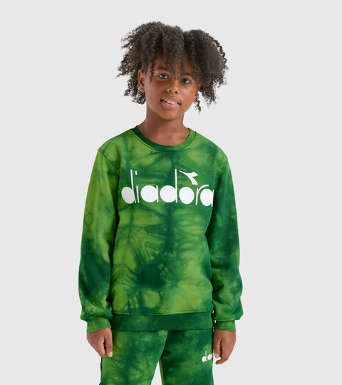 Sweatshirt in Militärgrün ohne Kapuze - Jungen JB.SWEATSHIRT CREW AO D NEUTRO(00001) - Diadora