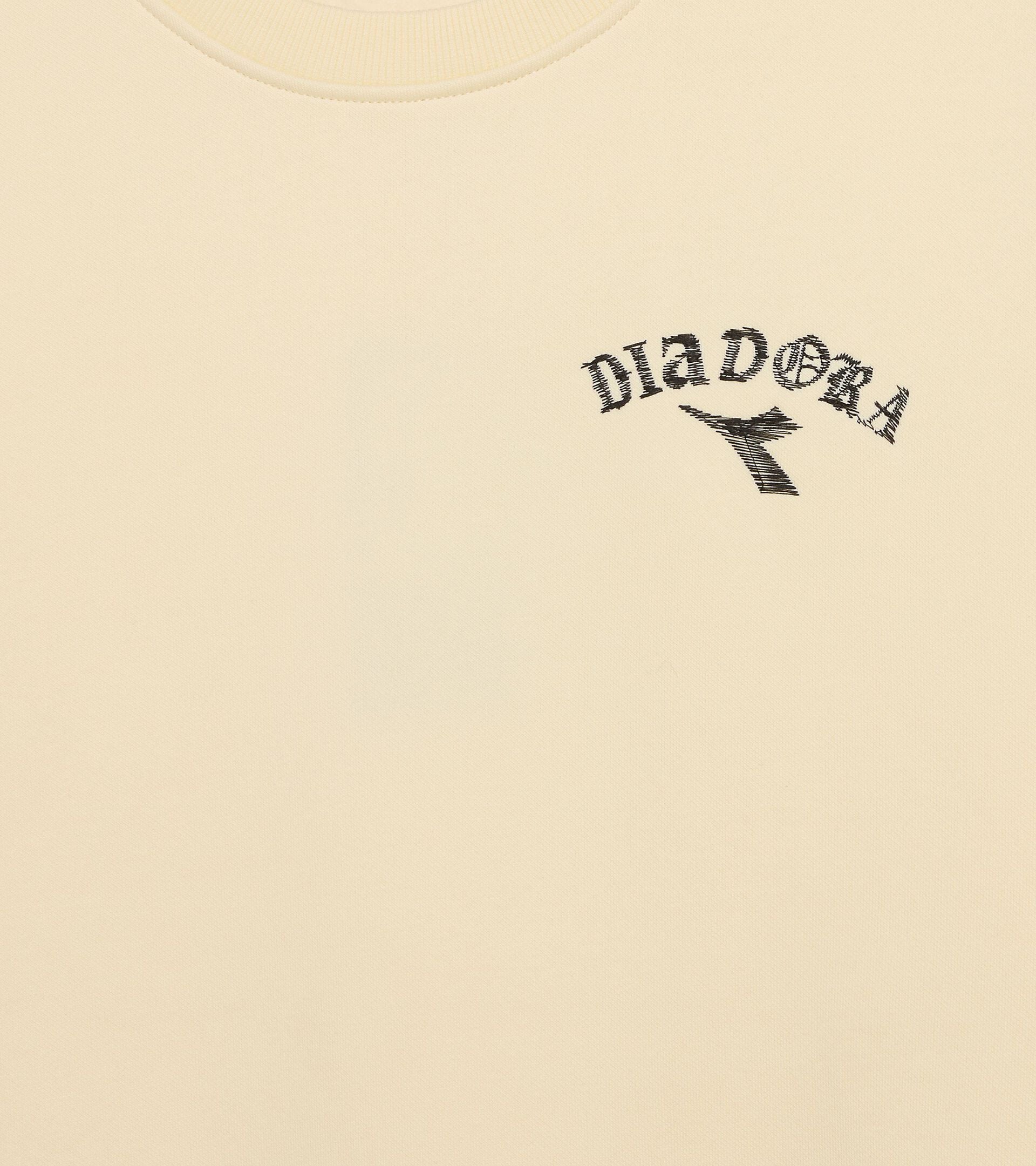 Crewneck Sweatshirt - Run Valley - All-gender SWEATSHIRT RUN CREW (BR) BEIGE SHIFTY - Diadora