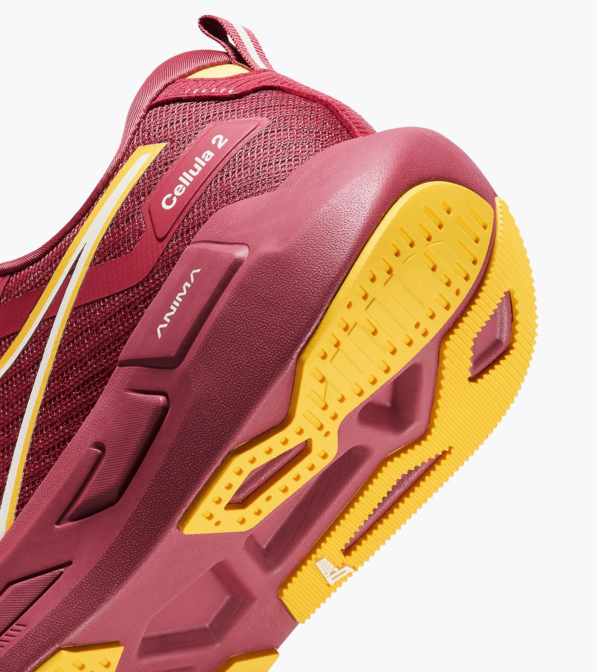 Chaussures de running neutres - Confort et stabilit&eacute; - Homme CELLULA 2 RSS TERRA /NARCISO - Diadora