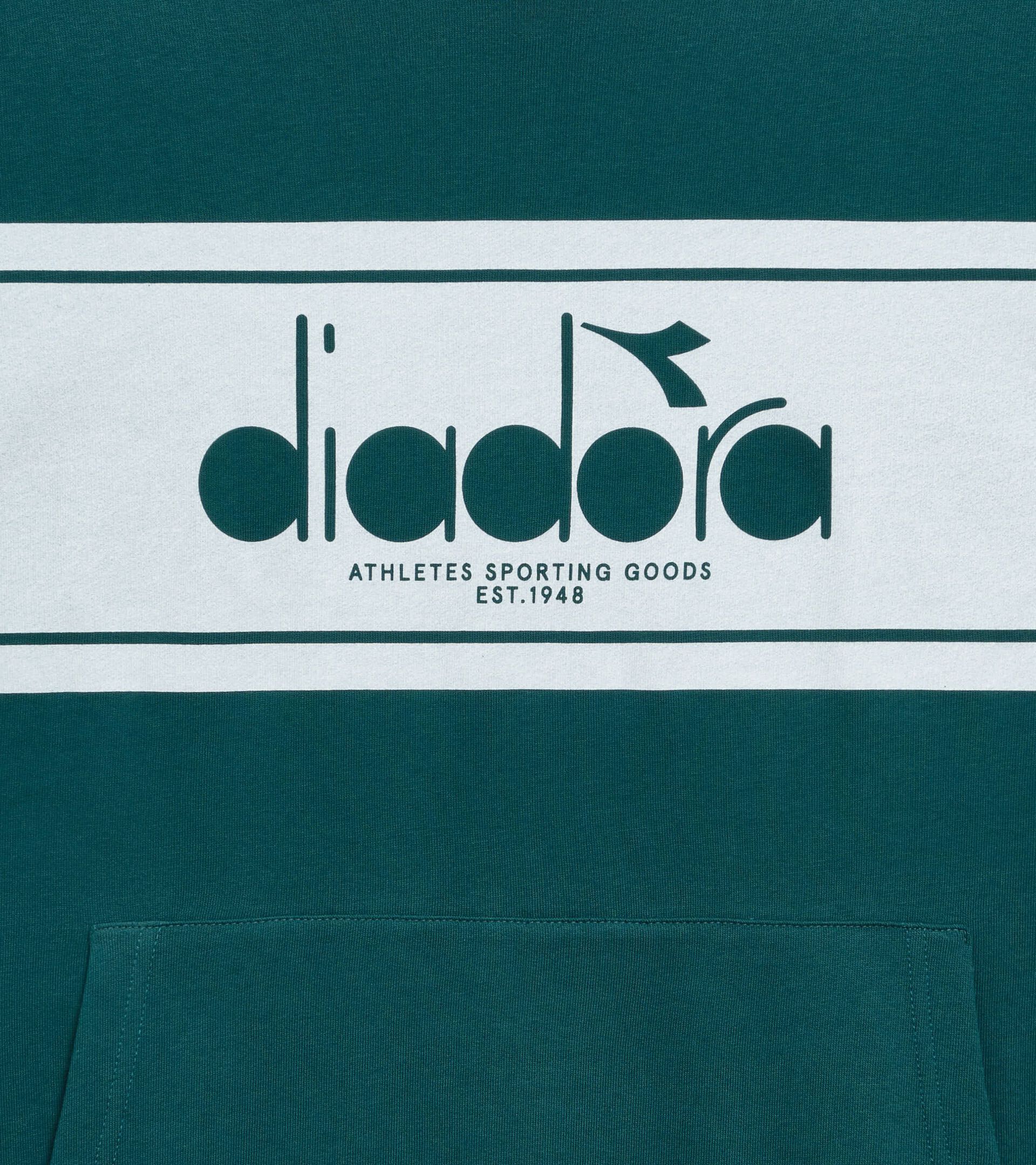 Sweatshirt mit Kapuze im Colorblock - alle Geschlechter HOODIE LOGO SCHATTIERTE FICHTE - Diadora