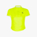 G. POLO COURT, YELLOW, swatch